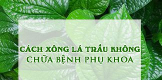 Cách xông lá trầu không chữa bệnh phụ khoa