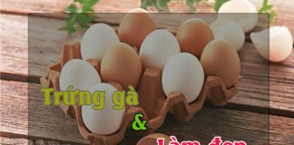 Mặt nạ trứng gà - phương pháp làm đẹp tại nhà