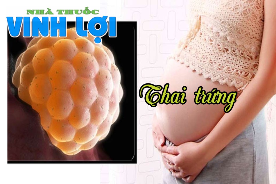 Chửa trứng là một trong các tình trạng thai nhi bất thường, xuất hiện ở tuần 2 - 4 trong thai kỳ