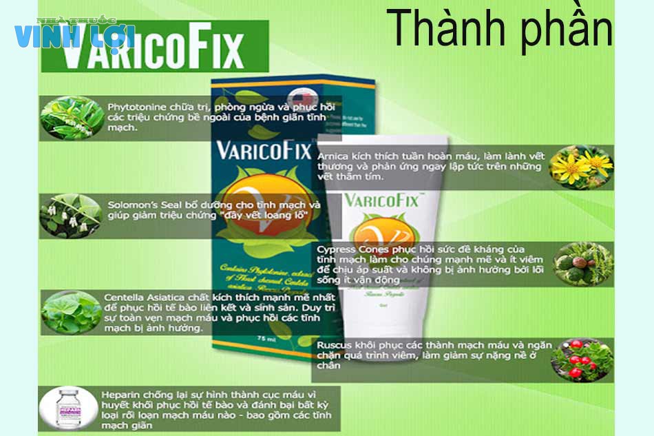 Thành phần của thuốc bôi giãn tĩnh mạch Varicofix