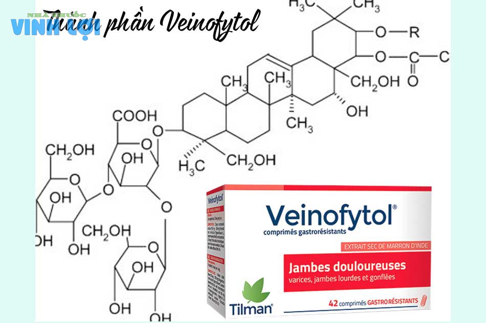 Thành phần của thuốc Veinofytol 50mg