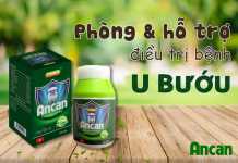 Ancan phòng và trị ung bướu