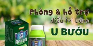 Ancan phòng và trị ung bướu