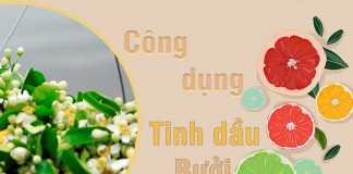 Tinh dầu bưởi và công dụng thần kỳ