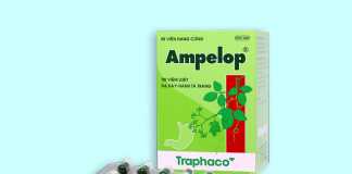 Ampelop