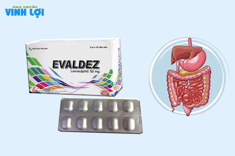 Thuốc Evaldez 50mg là thuốc về đường tiêu hóa