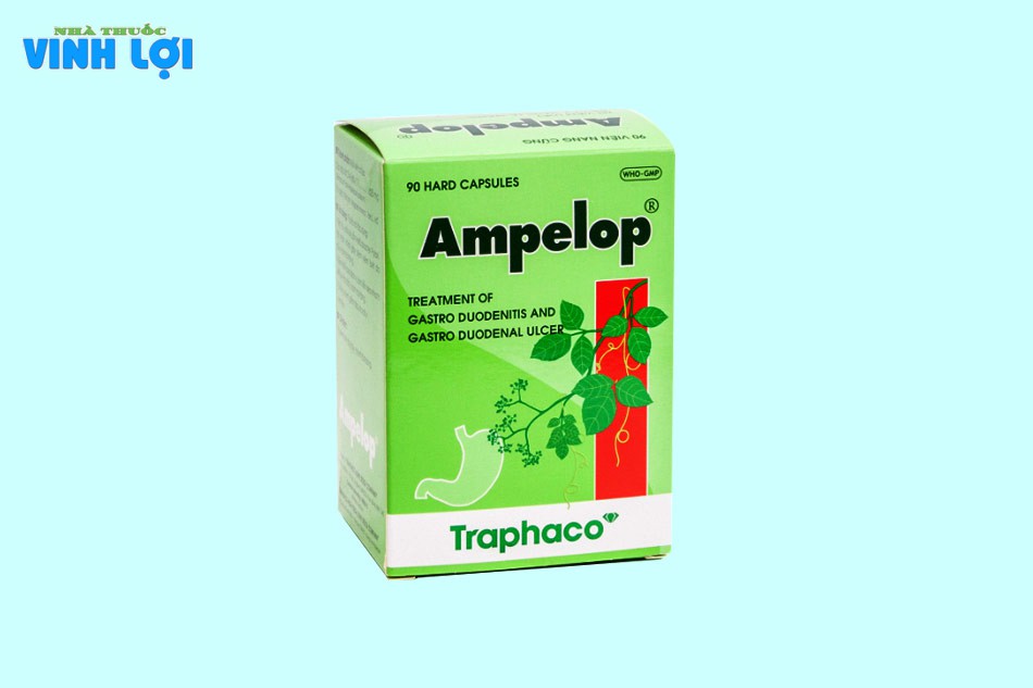 Thành phần của Ampelop