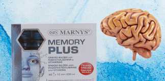 Memory Plus cải thiện trí nhớ não bộ