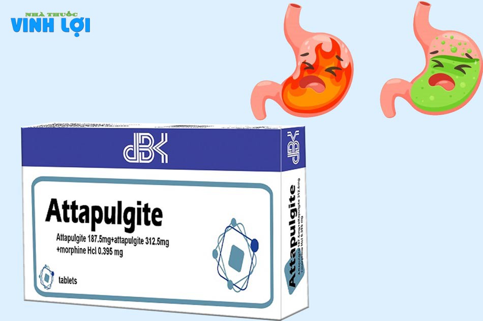 Attapulgite 3g là thuốc thuộc nhóm thuốc về đường tiêu hóa