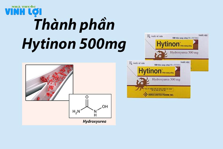 Thành phần của thuốc Hytinon 500mg