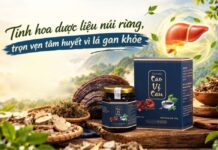 Cao Vị Can – Tinh hoa dược liệu núi rừng, trọn vẹn tâm huyết vì lá gan khỏe Cao Vị Can - Tinh hoa dược liệu núi rừng, trọn vẹn tâm huyết vì lá gan khỏe