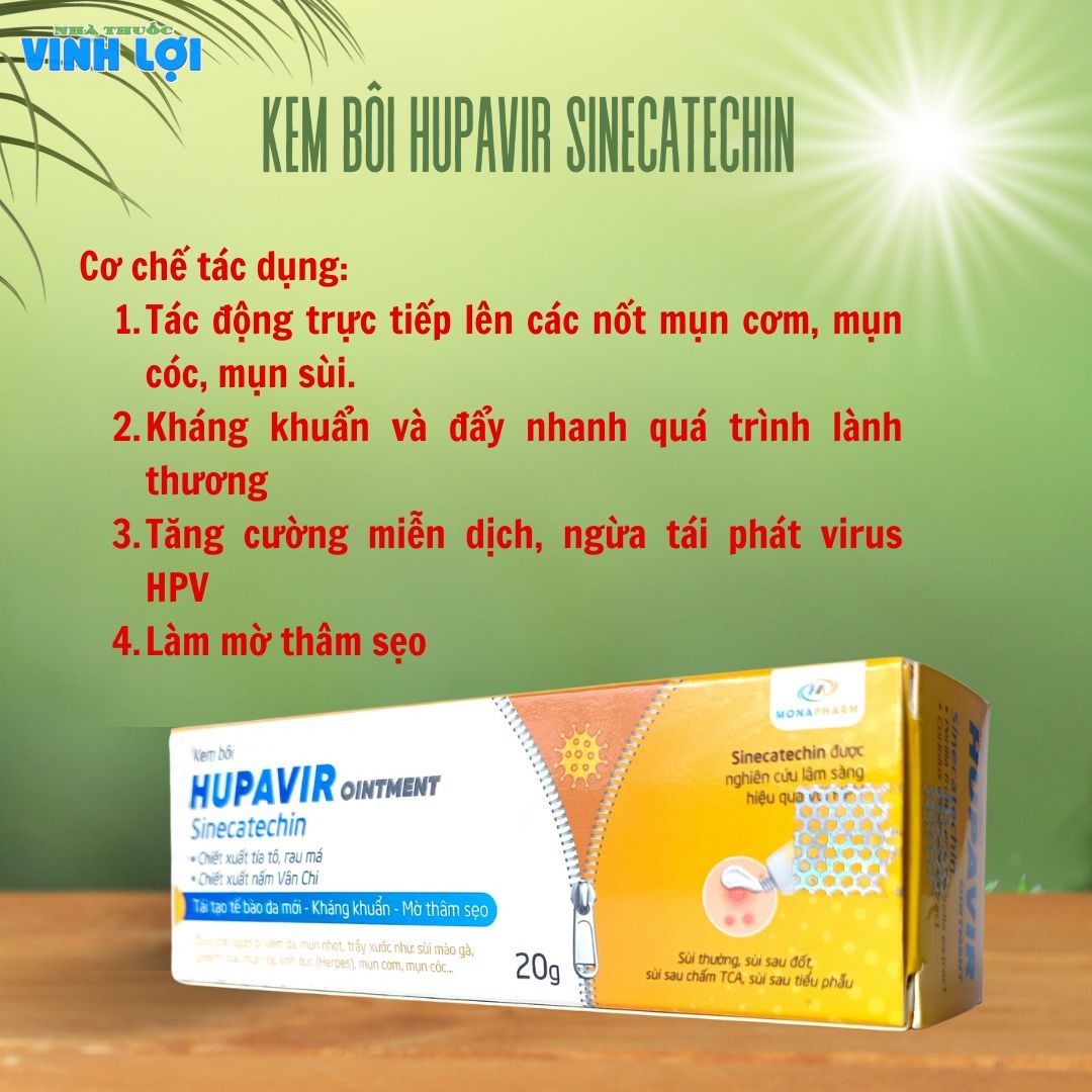 Cơ chế tác dụng của kem bôi Hupavir Sinecatechin