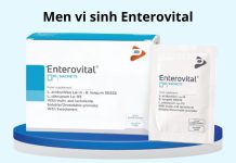 Men vi sinh Enterovital