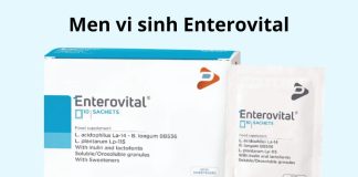 Men vi sinh Enterovital