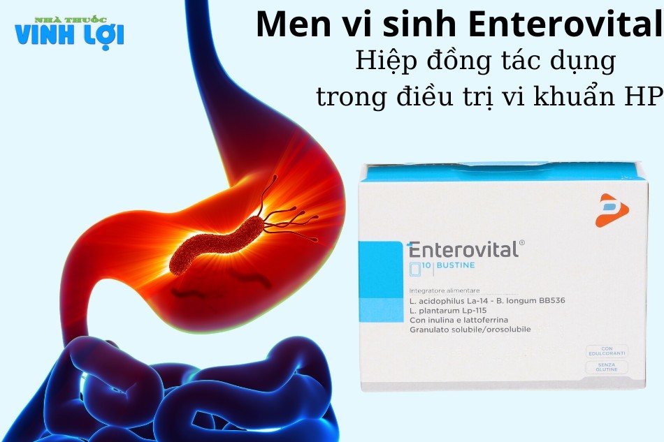 Men vi sinh Enterovital