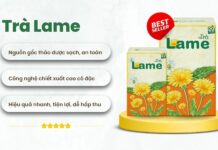 Top 5 trà lợi sữa tốt nhất 2026 mẹ phải xem ngay Hiệu quả nhanh chóng với chiết xuất cao cô đặc từ Trà Lame