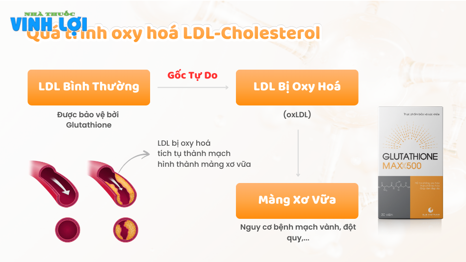 Quá trình oxy hoá LDL-Cholesterol