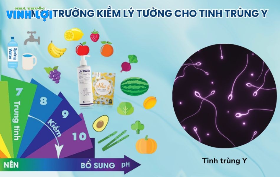 Tinh trùng Y phát huy lợi thế trong môi trường kiềm lý tưởng