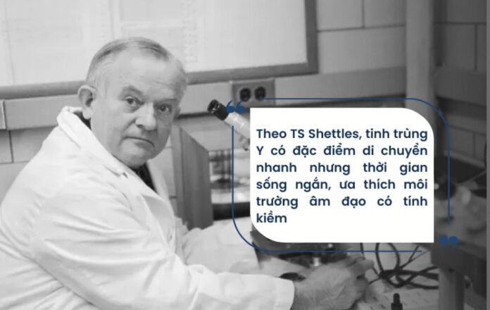 bi-quyet-sinh-con-trai TS.BS Shettles đã nghiên cứu về đặc điểm của tinh trùng X,Y