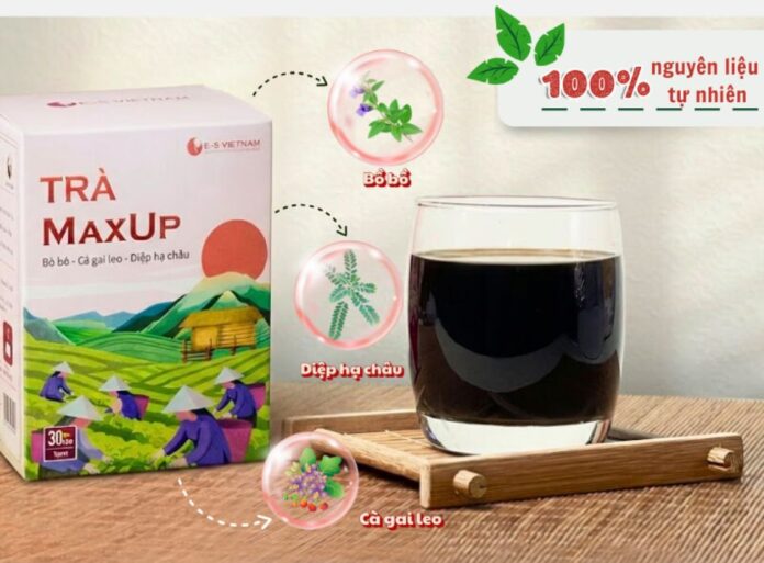 tra-maxup-kiem-soat-mo-mau-tieu-duong-1 Các thảo dược quý trong Đông Y như bồ bồ, cà gai leo, diệp hạ châu có trong sản phẩm trà MaxUP