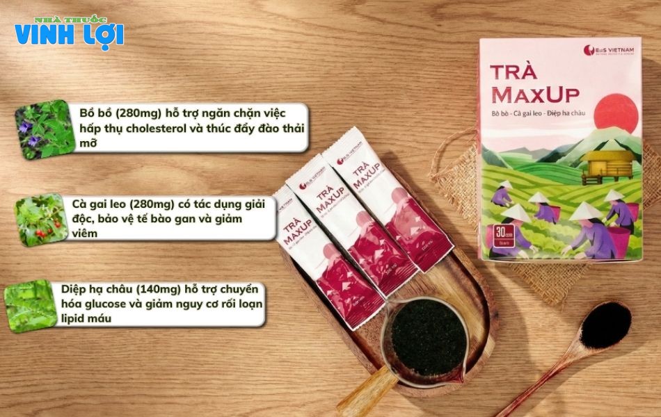 Cà gai leo trong trà MaxUP được phối hợp theo tỷ lệ vàng hỗ trợ chức năng gan