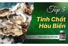 Review Top 5 tinh chất hàu biển tốt nhất 2026