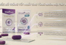 Top 6 thuốc bổ trứng giúp cải thiện nội tiết tốt nhất hiện nay Mỗi nhóm nội tiết kém cần ưu tiên một số hoạt chất chuyên biệt hơn trong công thức