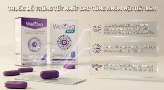 top-6-thuoc-bo-trung-1 Mỗi nhóm nội tiết kém cần ưu tiên một số hoạt chất chuyên biệt hơn trong công thức