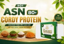 Bột Cordy Protein 80+: Giải Pháp Dinh Dưỡng Từ Đạm Thực Vật Và Đông Trùng Hạ Thảo