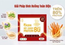 Bột Cordy Protein 80+: Giải Pháp Dinh Dưỡng Từ Đạm Thực Vật Và Đông Trùng Hạ Thảo