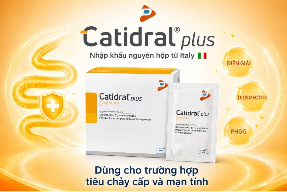 Catidral® Plus – Giải pháp hỗ trợ điều trị và dự phòng tiêu chảy cấp, mạn tính